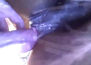 Sexy farm animal in amazing homemade bestiality