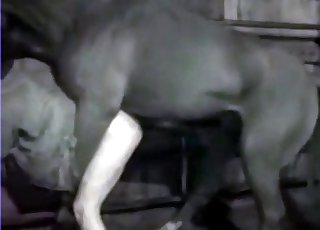Dude gets destroyed by a horse