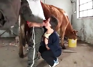 Couple enjoying a sexy cow
