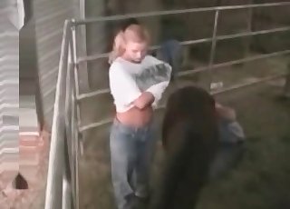 Sexy beast and a sensual pony are enjoying bestiality