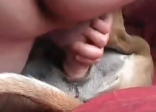 Gorgeous anal sex with my dog