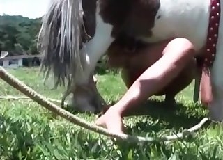 Juicy horse cock tastes amazing
