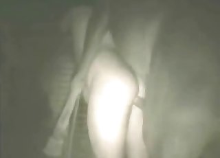 Fat male playing with huge stallion